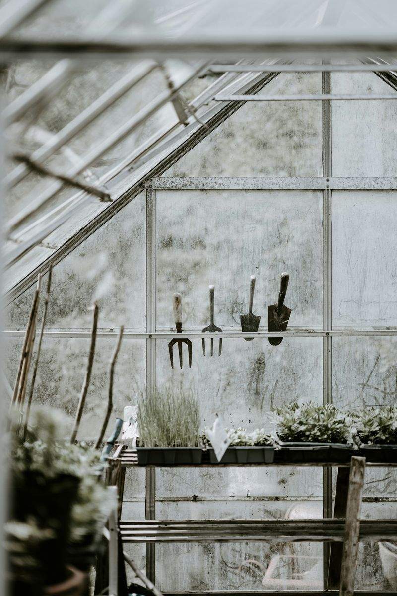 Jardin Harmonie Paysage 2