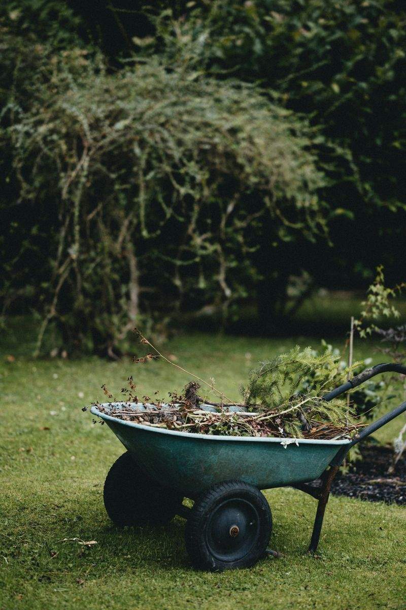 Jardin Harmonie Paysage